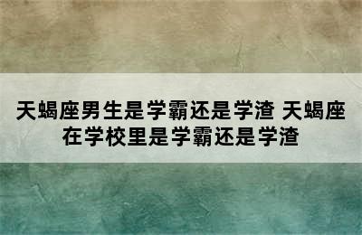 天蝎座男生是学霸还是学渣 天蝎座在学校里是学霸还是学渣